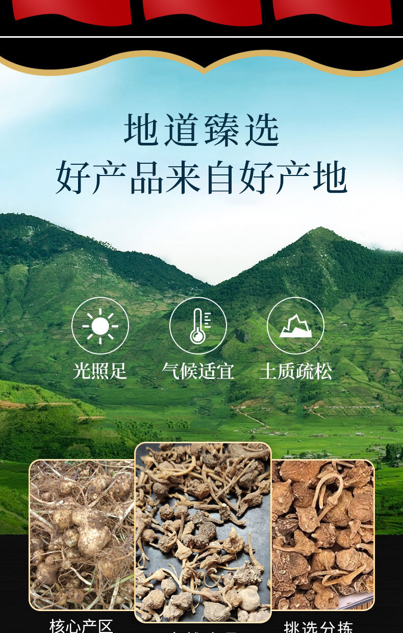Zhu Zi Shen (Panax japonicus var. major) — Dried Rhizome Pieces, Food Herb for Tea & Soup overview