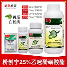 ����ۄ���25%���׷ӻ������S�ϲ�ݮ�������ϰ׷۲��rș������20g