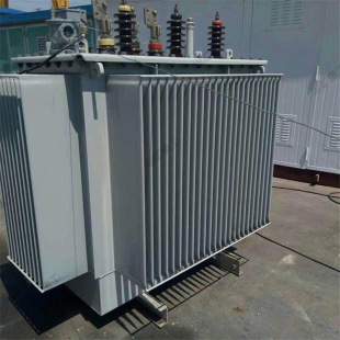 S13-63��ʽ׃���� ���ɾo�� �ͽ�ʽ׃���� ʹ�É����L ��ʽ׃����