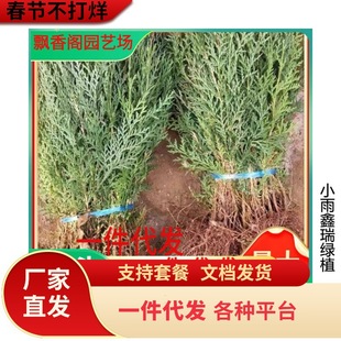 һ�����l�Ȱؘ����؈A���ɘ��^�l�����ɰ����؂Ȱ�֦�~Ĺ���ɰ�