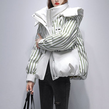 �ﶬ�����p������q�޷�Ů����̿�С����2025�¿���Ƹ߶�����