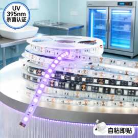 跨境5050低压12v/24v防水uv紫光灯带 自粘395紫光灯杀菌led灯条