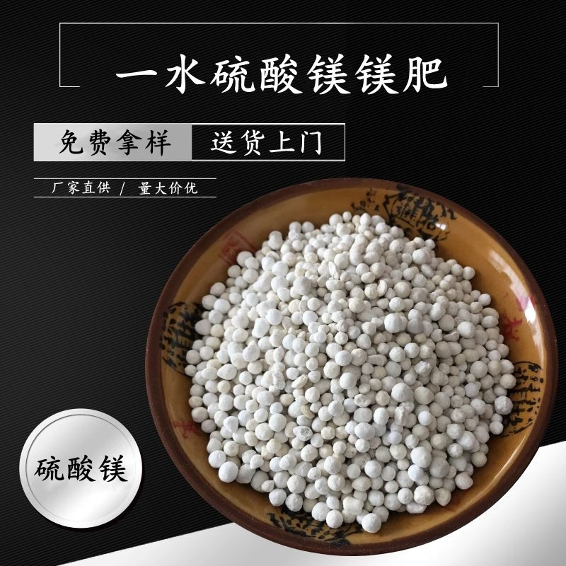 厂家供应一水硫酸镁镁肥 99含量农业级硫酸镁 肥料用一水硫酸镁