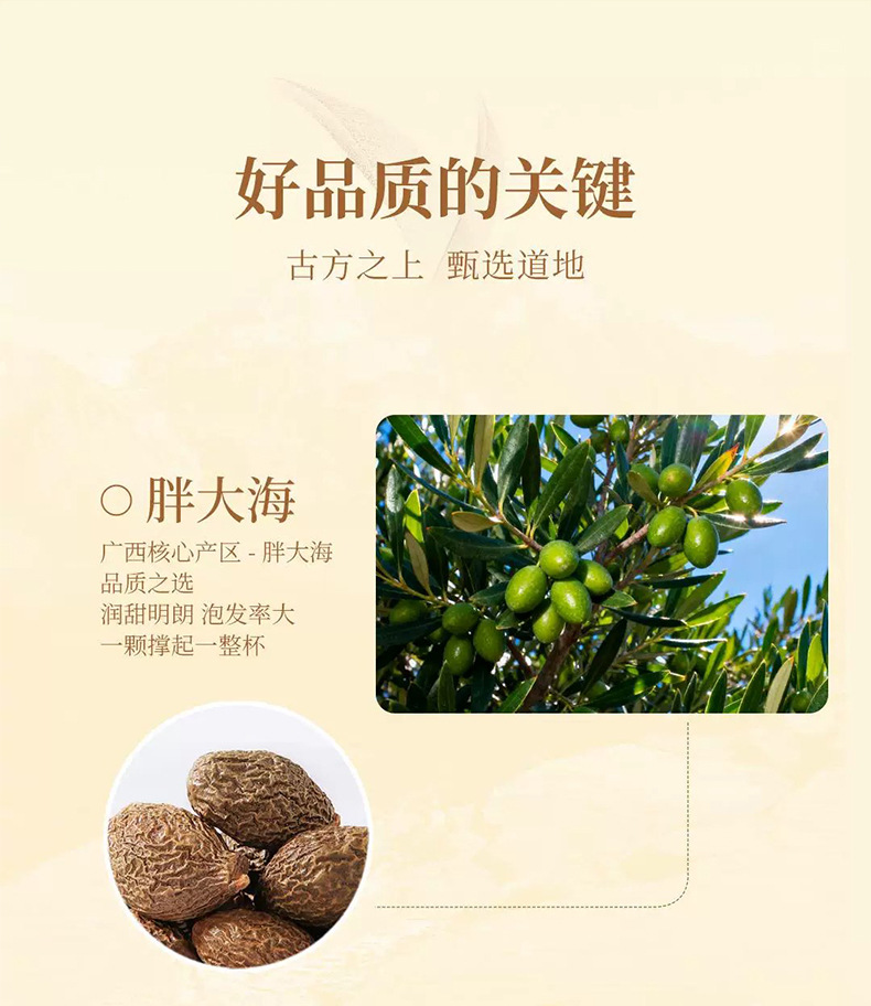 Pang Da Hai Luo Han Guo Ju Hong Herbal Tea Bags 120g Sugar Free Hot Brew Blend overview