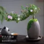 造型办公红花六月雪小盆栽