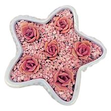 ���₀��ֲ���{ɫ����G�}С̖���⻨���մ����l�؃r��}���û���