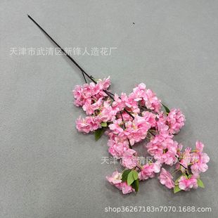 ����ѻ�֦�滨֦�ѻ����b�c��Y�쾰�b���䁙����[�O�ٻ�