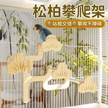 ���������������վ�������ɰ�վ��ʵľĥ��վ�������쾰����ZR