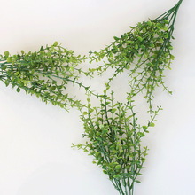 亚马逊仿真绿植塑料花束 家居酒店装饰金钱草 7叉尤加利黄杨木