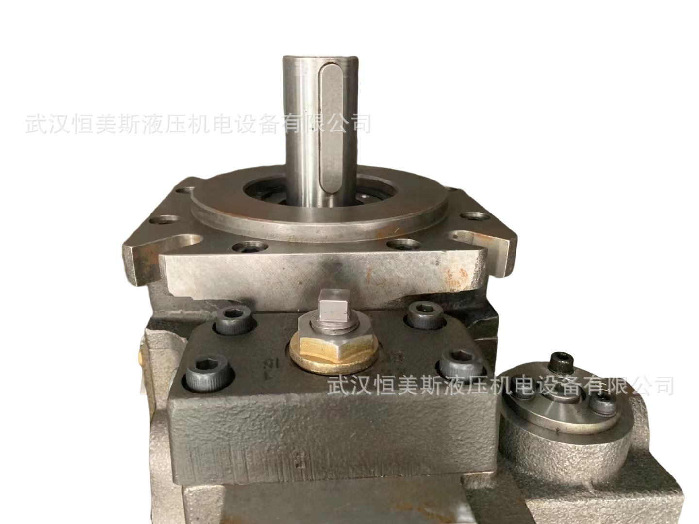 德国HAWE哈威柱塞泵V80M-200LSFN-1-1-XX/N-2/190-400C317-Z05