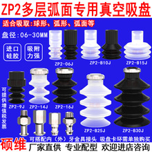 ZP2P SMCLٙCеP ZP2-06JS/14/16JN I