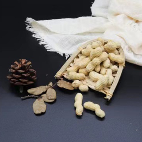 Wild One Ding 288g Peanuts Garlic Aroma / Tangerine Peel Bagged Peanuts In-Shell Peanut Snack Leisure Food Drinking Accompaniment