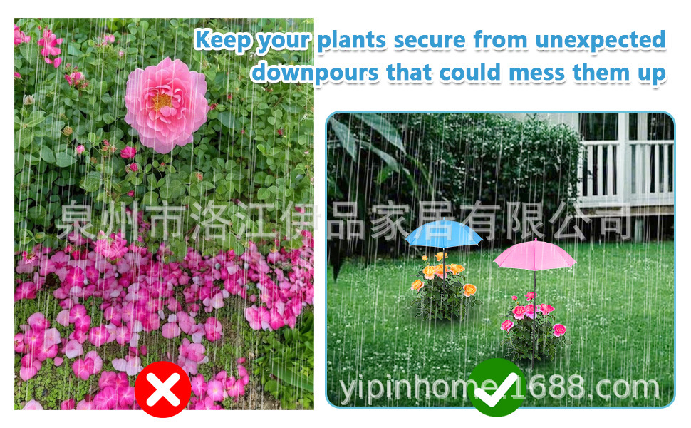 植物遮阳伞雨伞 (6).jpg