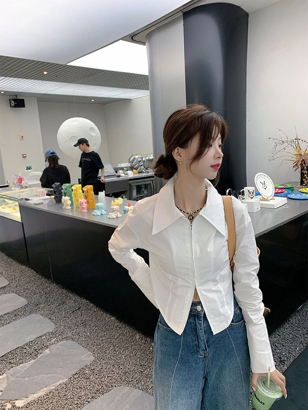French Style Elegant Zipper White Shirt Women's Spring Design Sense Short Chic Top with Base Long Sleeve Shirt