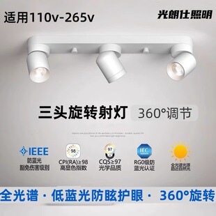 Simple Surface Mounted Spotlight LED Ceiling Adjustable Angle Double Head Three Head Household Cloakroom Light Aisle Downlight