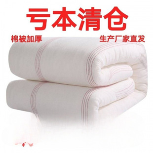 Thickened Cotton Quilt Core Winter Quilt Bedding Single Quilt Double Quilt Spring and Autumn Quilt Warm All-Around