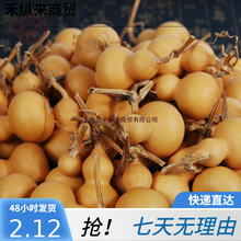 �NֲС���J��Ȼ�־�Ʒ�S��С���J�������^���l����؛Դ�펧�M�o