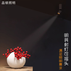 明裝聚光射燈3w3度8度一束餐廳酒吧家用吸頂式可調角度茶室氛圍燈