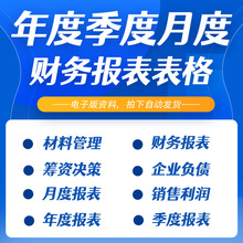 年度季度月度财务报表分析企业excel表格年度收支汇总数据统计