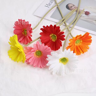 �羳PU���޾շ��滨���ɻ��͏d�b�c�ٻ�insС�����L̫ꖻ�