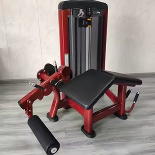 Professional Club Fitness Sit-Up Bench Press Leg Machine Strength Bodybuilding Equipment Horizontal Leg Flexion Exten Trainer