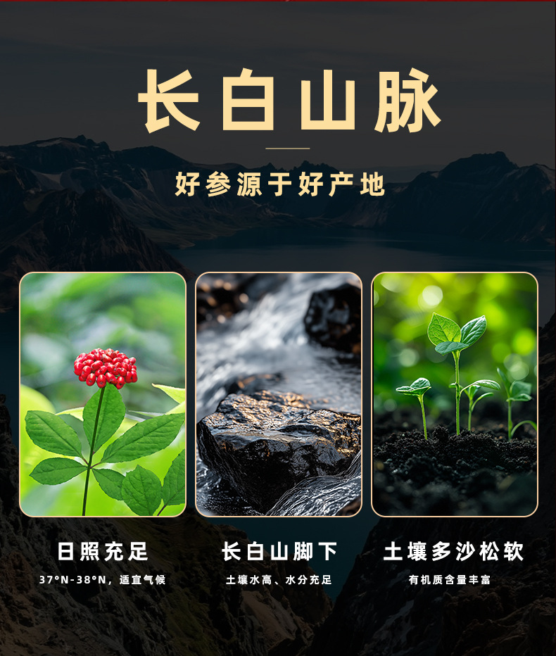 Wild-Simulated Ginseng Gift Box Dried Root for Tea and Soup Jilin Northeast Specialty quality and texture