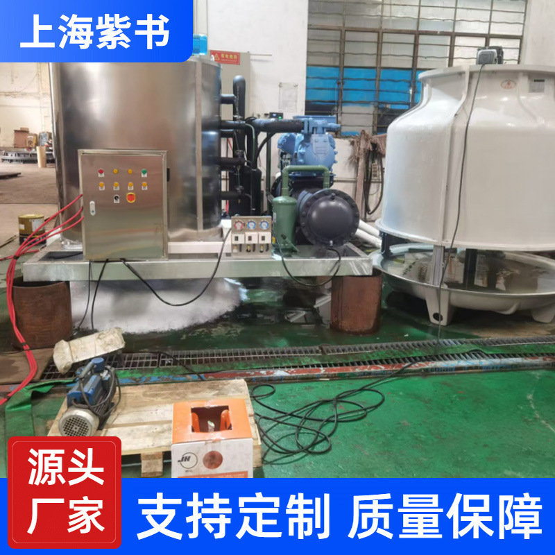 Commercial 10t Flake Ice Machine for Refrigeration and Preservation, 300kg Seafood Buffet Fish Scale Ice Machine