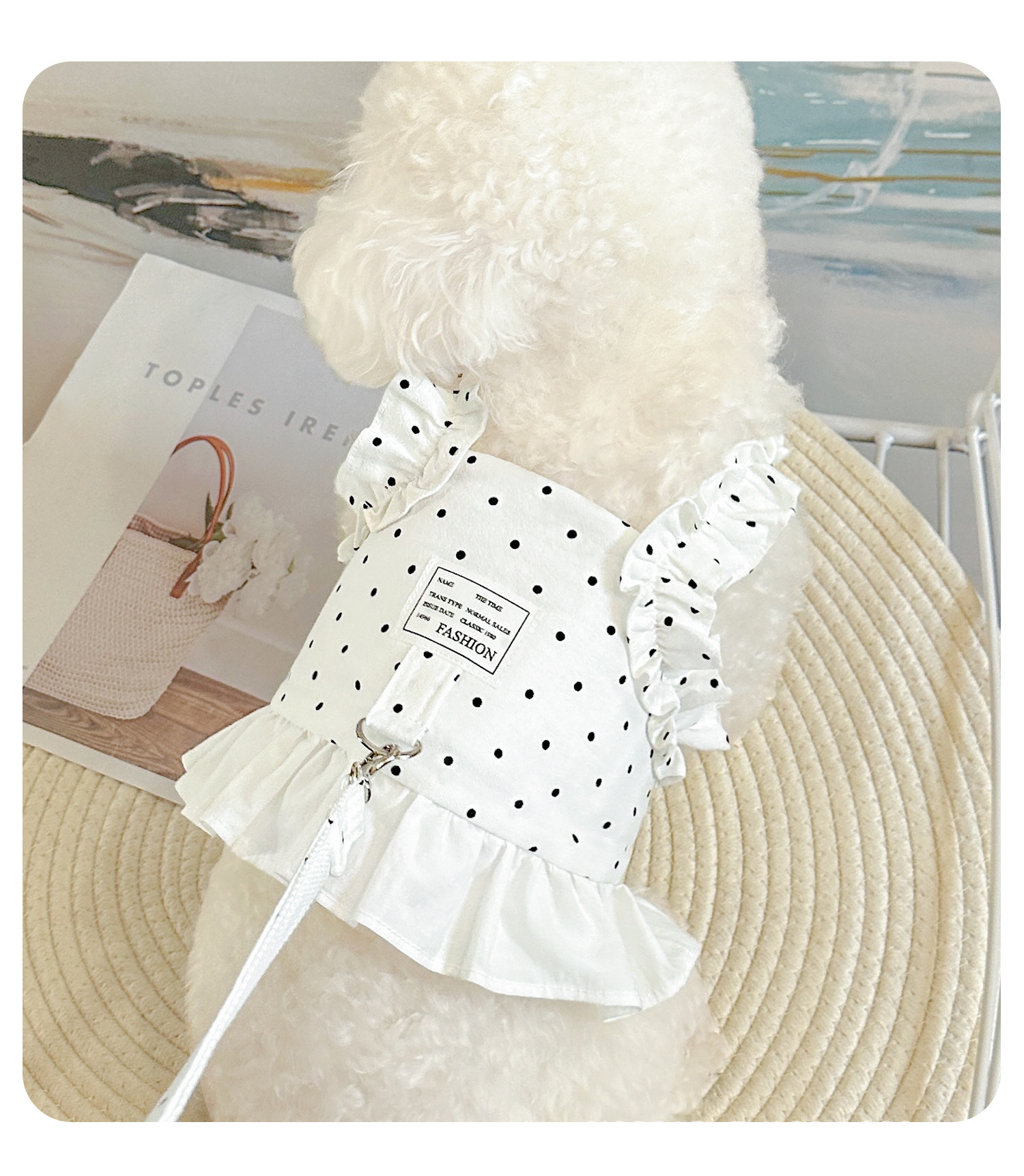Set de arnés y correa para perro pequeño estilo chaleco verano_voghion.com