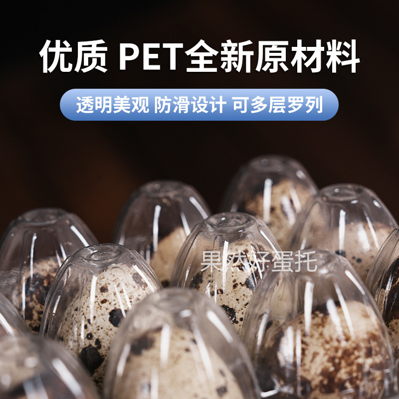主图-鹌鹑蛋托2.jpg