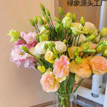 ����r��ֱ�l�B����۹��҃�ֱ�������͏d�r���k���Ҳ廨�[��