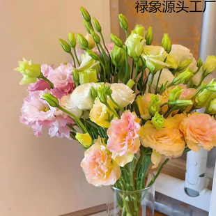 ����r��ֱ�l�B����۹��҃�ֱ�������͏d�r���k���Ҳ廨�[��