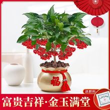 FSfɎMk҃ȿ͏dBؔGֲ