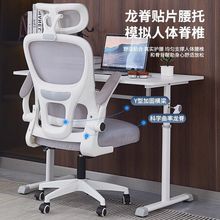 包邮家用舒服久坐办公椅人体工学电脑椅可调节靠背办公室学习椅子