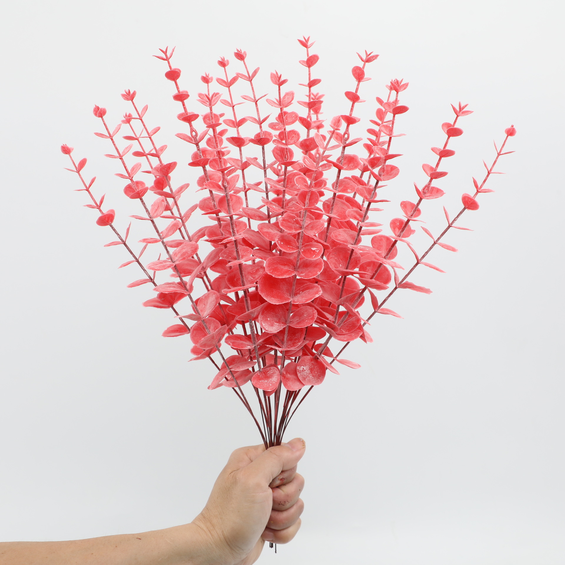 레드 행잉 프로스트-싱글 유칼립투스 017