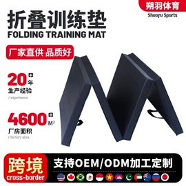 其他健身器材;体操/运动垫;体操用品