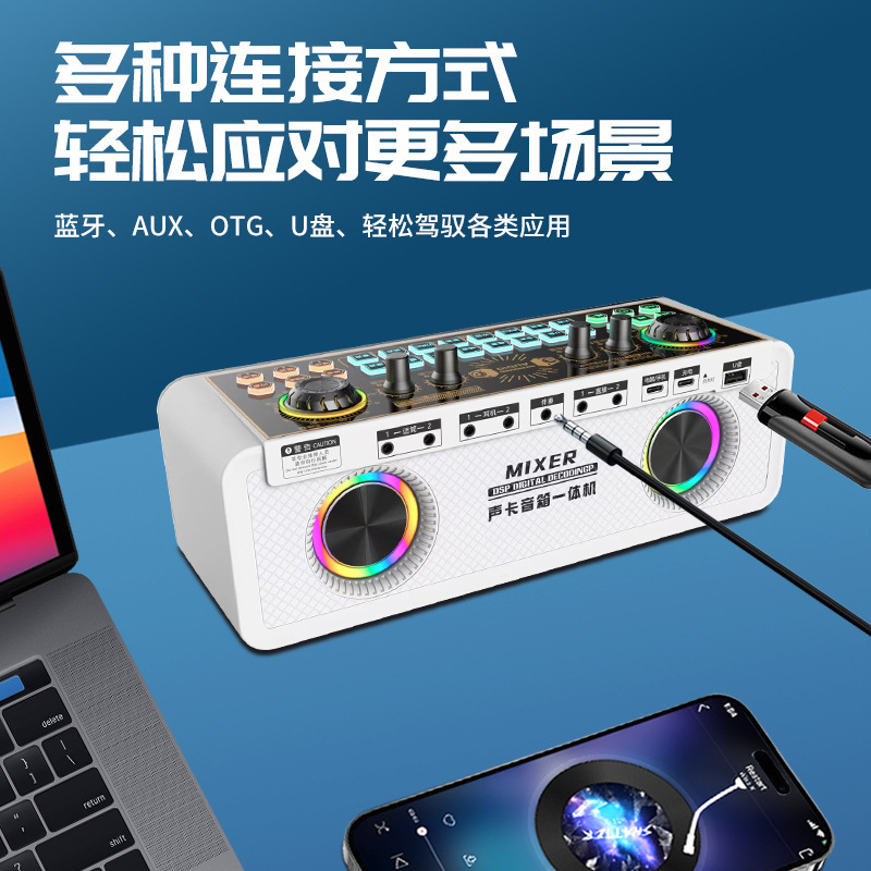 X 10無線生放送の歌の音カードの音響の一体機の室内の屋外の携帯式のk歌は麦を叫んで生放送して外に放します。|undefined