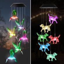 ̫L⏟СBEvaD߲ͥԺ@b