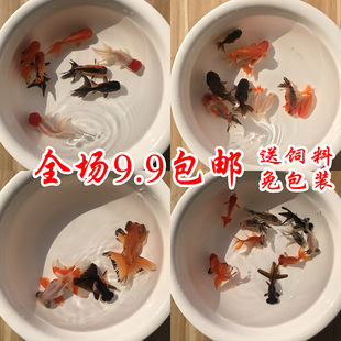 С�~���^�p�~С�͵�ˮ���B���~���~��ˮ���ͻ��~���\��С���~