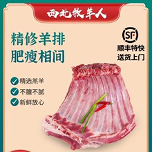 ���r�F�������}�؞�����ɢ�B��������5����ץ����������