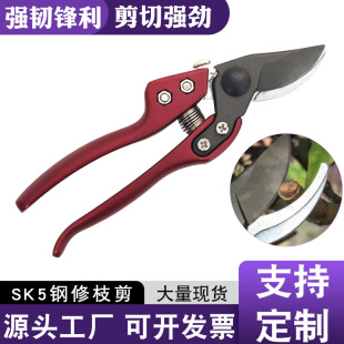 SK5��֦����֦��ʡ������������@��֦�����޻�����������ľ�辰