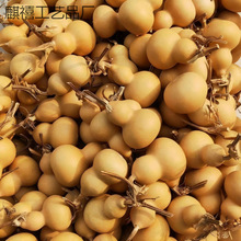 ��Ȼ�������J������J������J��ˇƷ�[�� ��Ƥ���J�ؔ����u