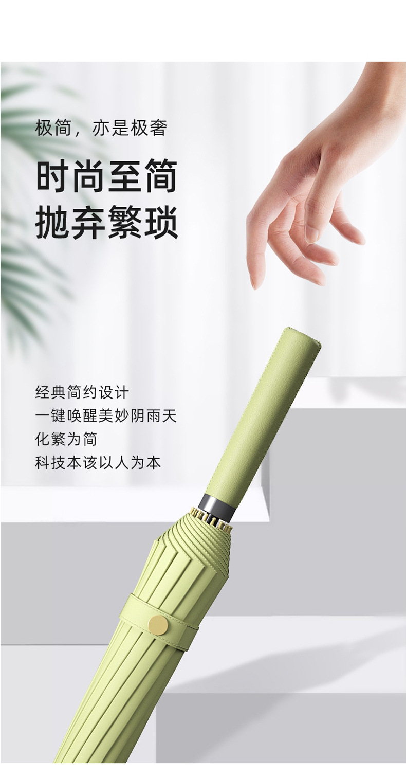 配色直皮柄 (8).jpg