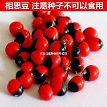 �uĸ���N�� ���t�����˶���˼�� ��ȸ�� ��˼�� �����t���N��