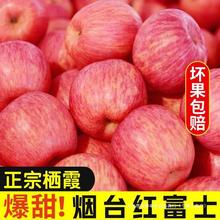 YF�t��ʿ��̨�O������ֱ�l���rˮ���l�y��ѩ��ϼ����a�����l����