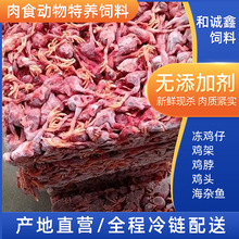 猫犬狗饲料冷冻小鸡仔加工狐狸娃娃鱼饲料肉食动物特养饲料