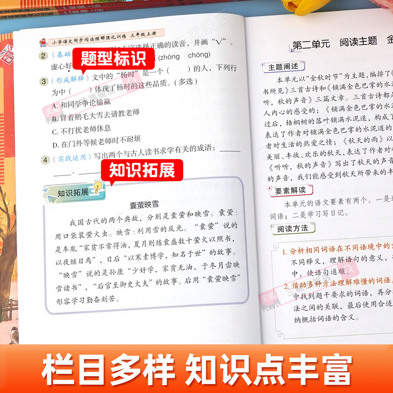 2025阅读理解专项训练书配套人教版一年级二年级三四五六年级上册|undefined