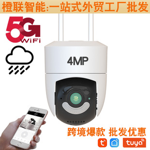 �羳���S�T�f4MP�o���O�ؔz���^�҃��h�̌��v5G WiFi����z���^