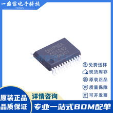 ԭ�b CS1242 �NƬTSSOP16 �߾���24λģ���D�QоƬ �����·IC