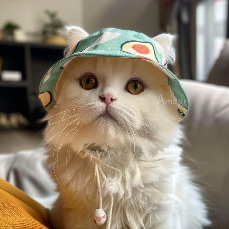 犬の帽子、耳が露出したかわいい猫の夏の日よけ帽子、サンハット、テディビション、コーギー日よけ漁師の帽子|undefined