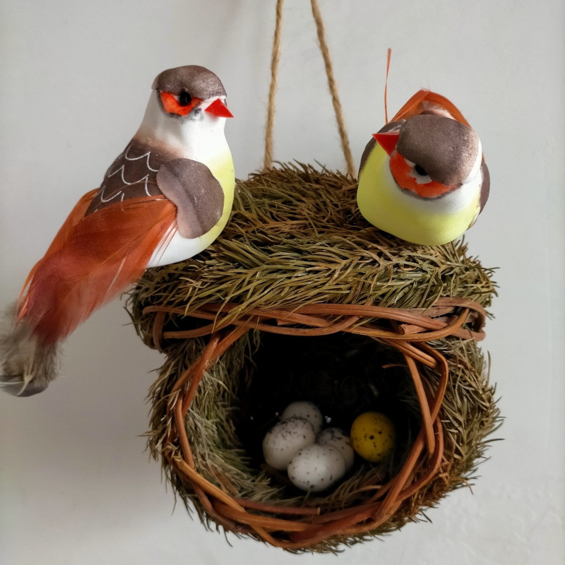 두 마리의 붉은 부리 새가 있는 소나무 가지 둥근 새 둥지